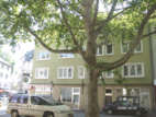 Immobilienbewertung - Wohn- und Geschäftshaus Mainz
